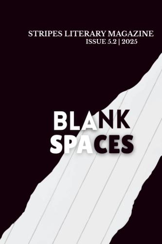 Blank Spaces: Stripes Literary Magazine Issue 5: Volume 2 by 